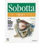 sobota анатомия Atlas . документ 24 версия 3 / F. paul (pole) sen работа 