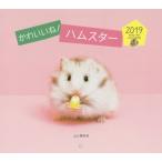 カレンダー　’１９　かわいいね！ハムスタ / Ｐｅｄｒｏ　Ｃｈｏ