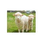 たのしいまきば　Ｃｕｔｅ　Ｆａｒｍ　Ａｎｉｍａｌｓ / 平林　美紀　著