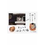 キュッとはまった猫 / グラフィック社編集部