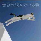  мир. ..... кошка 
