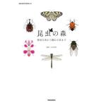  насекомое. лес . близко . насекомое из ... насекомое до / Maruyama . выгода |..