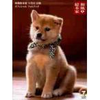  японский стиль общий книга@ дом 10 поколения бобы . официальный фото b/ телевизор Osaka ..