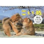 カレンダー　’１９　こいぬ　柴犬ころころ / Ｓｈｉ−Ｂａ編集部　佐藤　正之　他写真