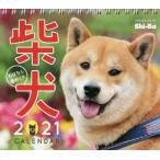 カレンダー　’２１　柴犬おはなし週めくり / Ｓｈｉ−Ｂａ編集部