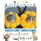 to...&. ../..... .. папа 