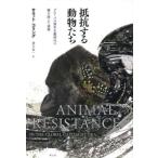  сопротивление делать животное .. свечение bar .книга@ принцип времена. вид . превышен полосный obi / Sara to*ko кольцо 