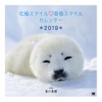 ’１９　北極スマイル・南極スマイルカレン / 香川　美穂　写真