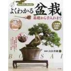  хорошо понимать бонсай основа из починка до / гора рисовое поле . тканый работа 