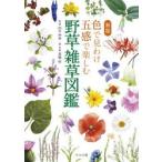 цвет . видеть ... чувство . приятный травы *.. иллюстрированная книга / рисовое поле средний ..