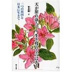  небо ... падение . сырой . осталось .. дыра. есть 2 .. родина . Япония . сырой ../.. последовательность | работа 