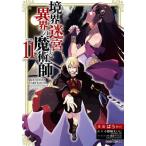 境界迷宮と異界の魔術師 Adventure of a magician with memory of Break force online 11