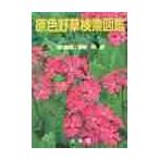 . цвет новый дерево поиск иллюстрированная книга .. цветок др. сборник / Ikeda . магазин др. сборник 