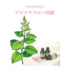 幸せを呼び込むアロマテラピー事典　直感×心理テストで導くあなたに必要な色と香り / 色映　みほ　著
