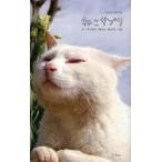 ねこサプリ　人によく効くＮＥＫＯ−ＰＨＯＴＯ１５０ / ＬＯＶＥ　ＣＡＴ５５