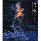  кожа semi есть день, кожа semi ... было / Fukuda . человек фотография * документ 