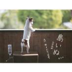 島いぬ　え！？私って犬だったの？ / 阿部　高嗣　著