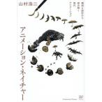  анимация * nature конструкция .. проект из считывание .. настоящее время анимация / гора .. 2 