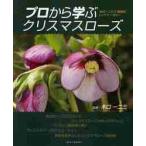  Pro из .. морозник дерево . один 2 три . Niigata. верх питомник / дерево . один 2 три |..