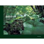 .... сон tetoks растения *hi -тактный Lee / Watanabe . один работа 