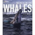  кит море. . человек / Brian *s Kelly 