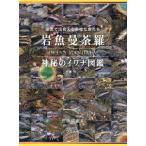 岩魚曼荼羅　神秘のイワナ図鑑　渓流で出会える多様な魚たち / 佐藤成史