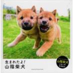 生まれたよ！山陰柴犬　山陰柴犬小松と雫写真絵本 / 豊　哲也　著