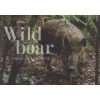 Wild boar... корзина inosisi. [.] / стрела .. человек работа 