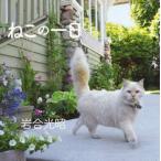 ne это один день / скала . свет .