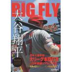 BIGFLY большой . sho flat Play задний 2023 Iwate день . специальный сообщение регистрация сборник 