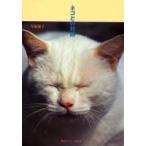 ネコとの対話 / 早坂優子／著