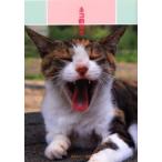 ネコ的幸せ / 早坂優子／著