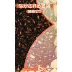  сырой . быть слова /....