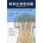  анатомическая физиология . иллюстрированная книга hito. из .. все . начинающий тоже понимать решение версия!!
