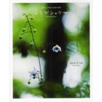  китайский астрагал sho лошадь . пик гора . возможно .... лес. ../... и .| работа 