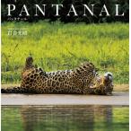 PANTANAL / скала . свет . работа 