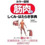 カラー図解 筋肉のしくみ・はたらき事典