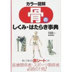カラー図解骨のしくみ・はたらき事典
