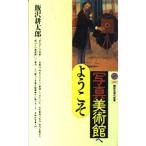 写真美術館へようこそ (講談社現代新書 1287)