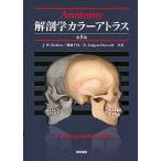解剖学カラーアトラス （第8版） J．W．Rohen／共著 横地千仭