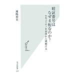 暗証番号はなぜ4桁なのか? セキュリティを本質から理解する (光文社新書) 岡嶋 裕史
