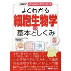図解入門よくわかる細胞生物学の基本としくみ (図解入門メディカルサイエンスシリーズ)