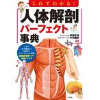 これでわかる! 人体解剖パーフェクト事典 伊藤 正裕; 中村 陽市