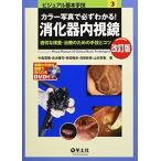 カラー写真で必ずわかる!消化器内視鏡―適切な検査・治療のための手技とコツ (ビジュアル基本手技 3)