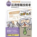 kitami тип иллюстрации IT. отвечающий для информационные технологии человек эпоха Heisei 29 отчетный год .......