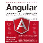 Angular Application программирование 