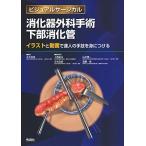 消化器外科手術 下部消化管 −イラストと動画で達人の手技を身につける− (ビジュアルサージカル)