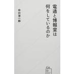 電通と博報堂は何をしているのか (星海社新書 106)
