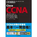 (.. проблема, смартфон рабочая тетрадь имеется ) тщательный ..Cisco CCNA рабочая тетрадь [200-301 CCNA] соответствует 