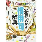 新レインボー 写真でわかる慣用句辞典 (小学生向辞典・事典)